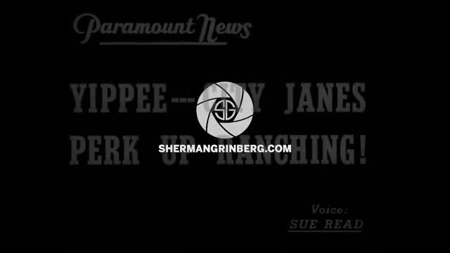 preview clip thumb